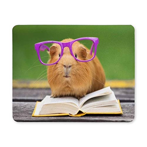 Yanteng Gaming Mouse pad, Maus - Pads lustige meerschweinchen Brille LESEN Outdoor - Mousepad Komfort - Mousepad von Yanteng