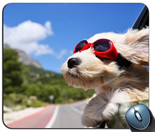 Yanteng - Gemeinsame Gaming Mouse pad, die Gesichter der Hunde - Wind - Brille maßgeschneiderte rechteckige Muster - Mousepad Gaming Mouse pad von Yanteng