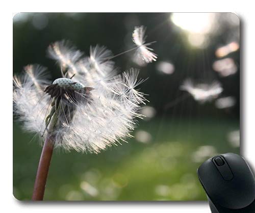 Yanteng Hohe Qualität Büro Maus Pad Pusteblume Löwenzahn Löwenzahn Samen 54300 Gemütliche Atmosphäre Schöne natürliche Blumen Thema von Yanteng