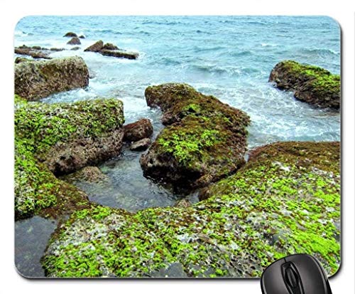 Yanteng Natur und Landschaft, Gaming Mouse pad, der felsen und Moos - Mousepad, Maus - Pads (Marine - Mousepad) von Yanteng