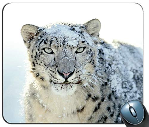 Yanteng Snow Leopard Breite rechteckige Mousepad Persönlichkeit - Anti - rutsch - Komfort, maßgeschneiderte Computer - Maus - Pads Mousepad - Mousepad von Yanteng