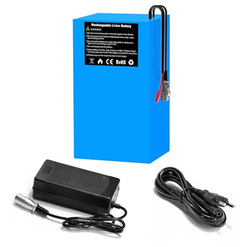 YASCO 36V/48V/52V/72V Lithium Battery for Electric Bike, Lithium Batterie für Elektrofahrrad (48V 20Ah) von Yasco Power