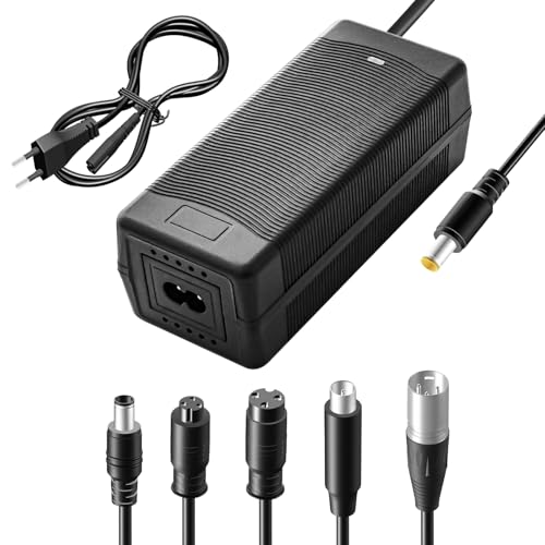 Yasco Lithium Battery Charger Mehrere Stecker Für Elektrofahrrad Roller E-Bike Boot Motorrad Xiaomi Akku Ladegerät Li-ion akku Ladegerät Mehrere (42V 2A+6 teiliger Anschluss) von Yasco Power