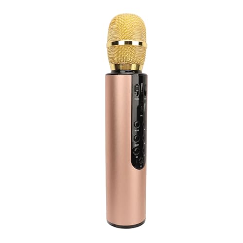 Yctze Mit Dual 5W -Lautsprechern und 2000 -mAh Akku Tragbarer Handheld Lautsprecher für Partys und Spaß Singen (Gold) von Yctze