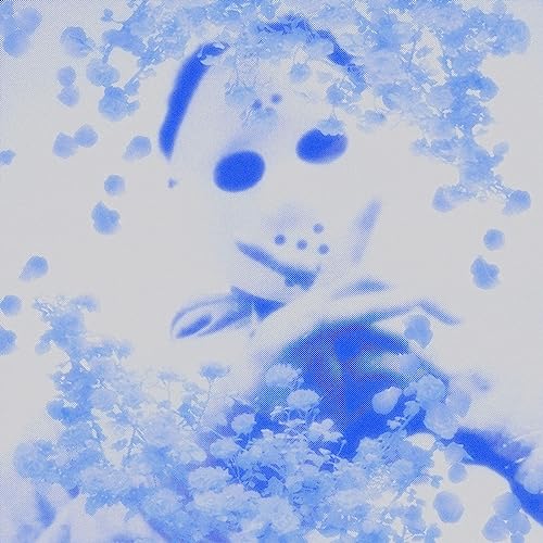 Frost God [Vinyl LP] von Year0001