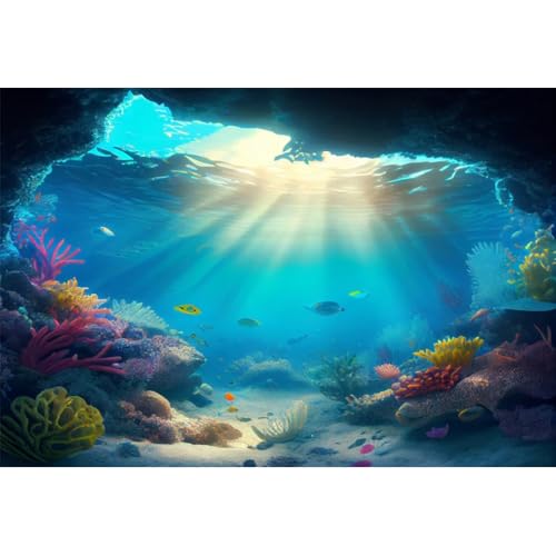 Yeele 6 x 3 m Unterwasserhintergrund, tropisches Korallenriff, Fische, Sonnenlicht unter dem Ozean, Fotografie-Hintergrund für Geburtstagsparty, Babyparty, Portrait, Fotoshooting, Requisiten, Vinyl Yeele 6 x 3 m Unterwasserhintergrund, tropisches Korallenriff, Fische, Sonnenlicht unter dem Ozean, Fotografie-Hintergrund für Geburtstagsparty, Babyparty, Portrait, Fotoshooting, Requisiten, Vinyl von Yeele