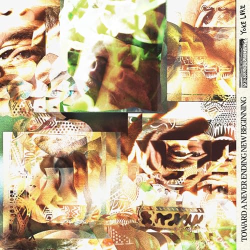 Toward a Never Ending New Beginning [Vinyl LP] von Thirty Tigers