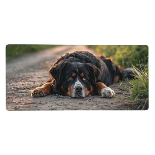 Berner Sennenhund Mousepad XXL 800 x 400 x 3mm Groß Gaming Mauspad Tier Mouse Pad mit Genähten Kanten, Wasserdicht Rutschfeste Gummibasis Verbessert Präzision und Geschwindigkei, für Office PC Lapto von Yeogcohe