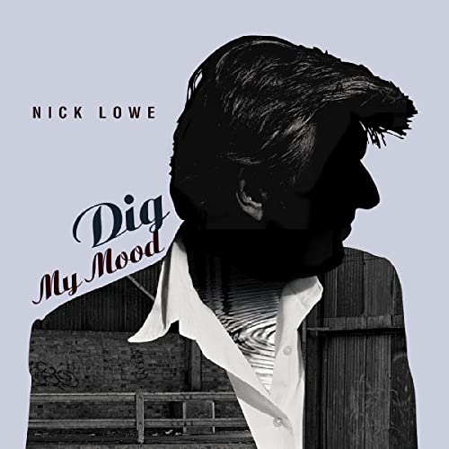 Dig My Mood [Vinyl LP] von Yep Roc Records