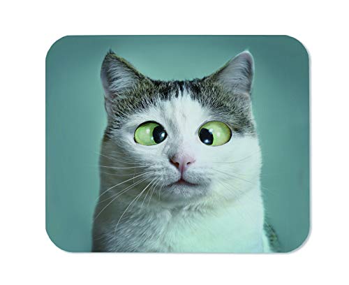 Yeuss Silly Cats Mauspad, rechteckiges, rutschfestes Mauspad, lustige Katze bei Augenärzten, Schielen, Nahaufnahme, Portrait, Gaming-Mauspad, Weiß, Grau, Grün, 200 mm x 240 mm von Yeuss