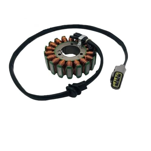 Magneto-Stator, hohe Leistung, passend for ODES Liangzi UTV 1000 Dominator 21040109702 Zubehör von YhfAbd