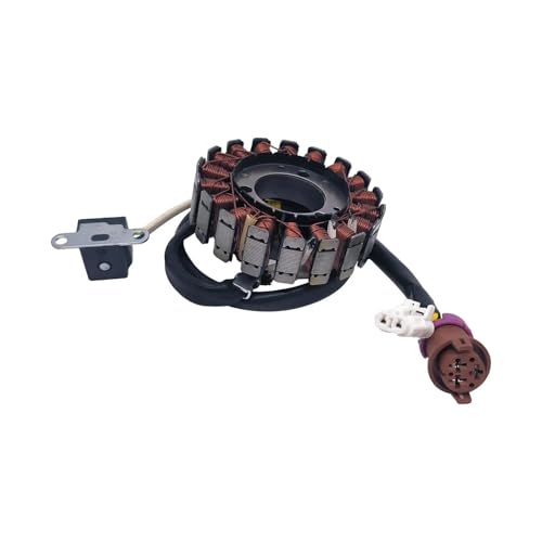 Magneto stator for Stels ATV 300B for Linhai 300cc for Buyang for Feishen 300cc 2.1.01.2061 27450 LU019987 Zubehör von YhfAbd