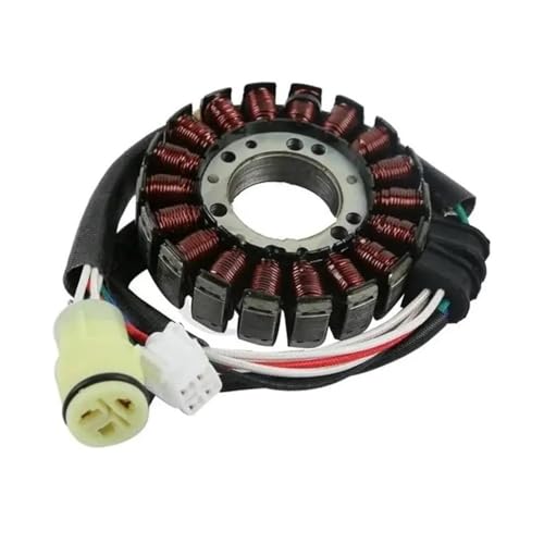 Motorrad Stator Spule for YMH RAPTOR 660 YFM660 for ATV BEAR TRACKER 250 YFM250 Generator 2001-2005 Motorrad Zubehör von YhfAbd