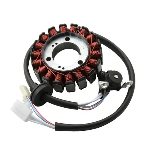Roller YW125 BWS125 Zuma125 Spule Magneto Stator for YMH BWS Zuma Yw 125 XC125SR Cygnus X 125cc 5S9-H1410-00 5ML-H1410-00 1CJ Zubehör von YhfAbd