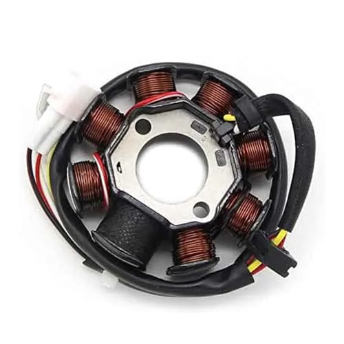 Stator for KTM 250 XC/XC-W/EXC/EXC Sechs Tage for KTM 300 XC/EXC/XC-W for KTM 300 XC-W Sechs Tage, 300 EXC Sechs Tage for Husqvarna Zubehör Stator for KTM 250 XC/XC-W/EXC/EXC Sechs Tage for KTM 300 XC/EXC/XC-W for KTM 300 XC-W Sechs Tage, 300 EXC Sechs Tage for Husqvarna Zubehör von YhfAbd