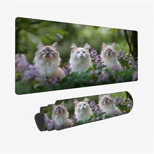 Schreibtischunterlage Katze Mauspad Tier Mousepad XXL 1200x600x3mm Mauspad Gaming mit Genähten Kanten, Nicht rutschender Desk Mat, Wasserdichte Waschbar Mouse Pad für Laptop PC Zuhause Arbeiten Y2-492 Schreibtischunterlage Katze Mauspad Tier Mousepad XXL 1200x600x3mm Mauspad Gaming mit Genähten Kanten, Nicht rutschender Desk Mat, Wasserdichte Waschbar Mouse Pad für Laptop PC Zuhause Arbeiten Y2-492 von Yingeen