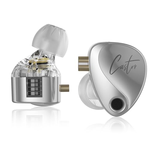Yinyoo KZ Castor IEM, kz In-Ear-Monitor-Kopfhörer mit Zwei dynamischen Treibern für Musiker, Sänger, stimmbare In-Ear-Kopfhörer mit 2DD-Treibern, Einstellschalter, geräuschisolierend, von Yinyoo