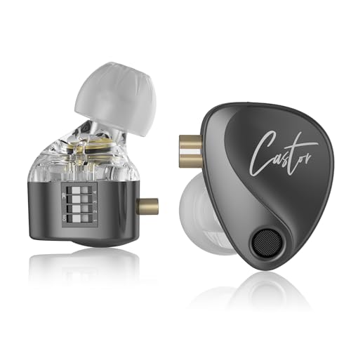 KZ Castor iem, kz In-Ear-Monitor Ohrhörer mit dualen dynamischen Treibern für Musiker, stimmbare In-Ear-Kopfhörer mit 2DD-Treibern, Einstellschalter, geräuschisolierend, Memory-Schaum-Ohrstöpsel von Yinyoo