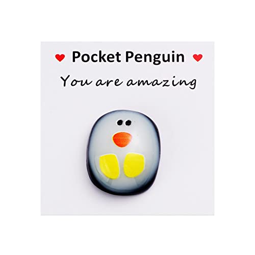 Little Penguin Hug Grußkarte Mini Cute A Little Pocket Pinguin Hug Ornament Dekoration für Geburtstag, Hochzeit, Party, 5,3 cm, You Are Amazing von Yiokii