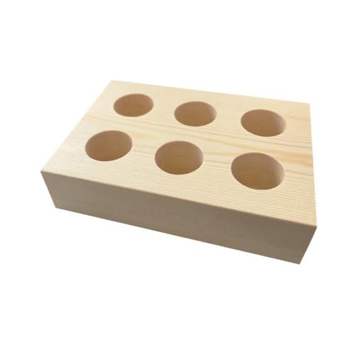 Yominerr Aufbewahrungsbehälter für Insektennadeln für Entomologienadeln, Nadeln zum Sammeln Von Schmetterlingen, für Den Einsatz im Schullabor, 10 X 14 X 3 cm von Yominerr