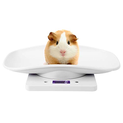 10 Kg / 1 G Digitale Kleine Haustierwaage mit Halter, Elektronische Babywaage, Haustiergewichtswaage für Katzen Hunde Messwerkzeug LCD-Display, Küchenwaage Kleintierwaage KüChenwaage Waage 10 Kg / 1 G Digitale Kleine Haustierwaage mit Halter, Elektronische Babywaage, Haustiergewichtswaage für Katzen Hunde Messwerkzeug LCD-Display, Küchenwaage Kleintierwaage KüChenwaage Waage von Yosoo Health Gear