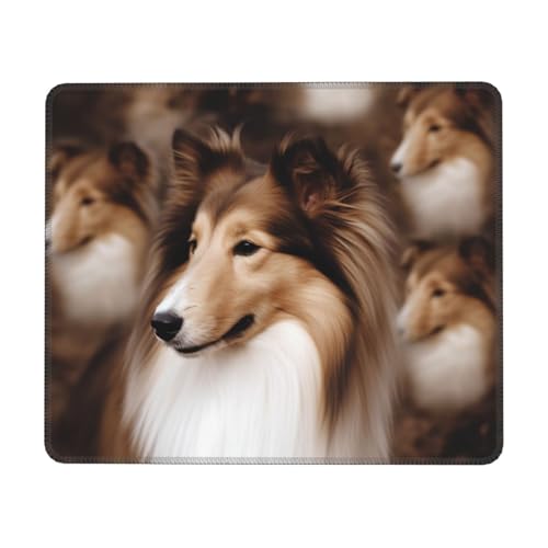 Shelties Mauspad mit Hundemotiv, rutschfest, quadratisch, tragbar, groß, für Schreibtisch, Zubehör, 20 x 20 cm Shelties Mauspad mit Hundemotiv, rutschfest, quadratisch, tragbar, groß, für Schreibtisch, Zubehör, 20 x 20 cm von YoupO