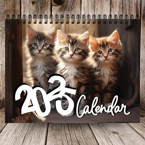 Yuandream Kalender 2025 Katze, Familienkalender Katzenkalender 2025, 3 Kätzchen Lustiger Katzenkalender 2025, Cat Calendar 2025 Katze Wandkalender Kalender für Büro, Familien, Hotels Yuandream Kalender 2025 Katze, Familienkalender Katzenkalender 2025, 3 Kätzchen Lustiger Katzenkalender 2025, Cat Calendar 2025 Katze Wandkalender Kalender für Büro, Familien, Hotels von Yuandream