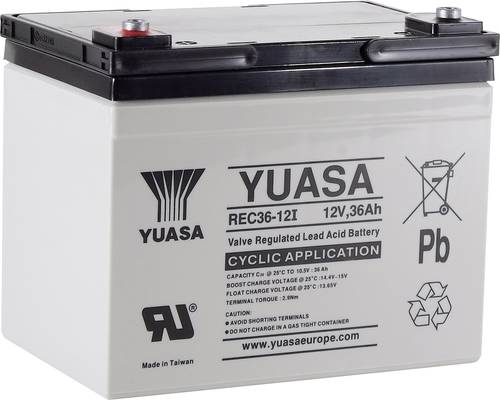 Yuasa REC36-12 YUAREC3612 Bleiakku 12V 36Ah Blei-Vlies (AGM) (B x H x T) 196 x 169 x 130mm M5-Schrau von Yuasa