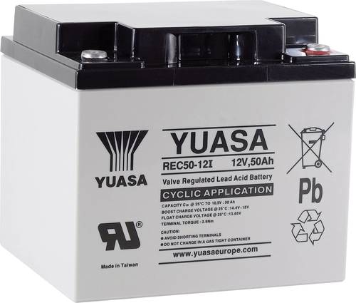 Yuasa REC50-12 YUAREC5012 Bleiakku 12V 50Ah Blei-Vlies (AGM) (B x H x T) 197 x 175 x 165mm M5-Schrau von Yuasa