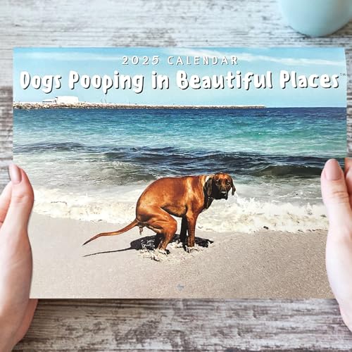 Pooping Puppies, Dogs Pooping In Beautiful Places Kalender 2025, Humor, lustiger Wandkalender, Wandkunst, Gag, Humor, Geschenk, Streichkalender für Geburtstage, Weihnachten von YumSur