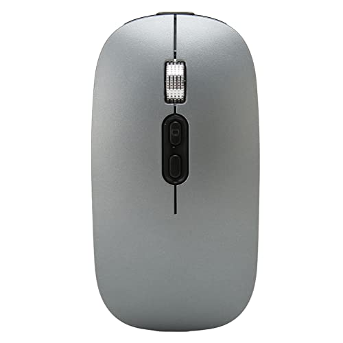 Kabellose Gaming-Maus mit RGB-Hintergrundbeleuchtung, 1600 DPI Typ-C-Aufladung, Tragbare Optische Maus, 2 Modi Bluetooth 5.1 2,4 G Kabellose Mäuse für IOS-Telefon, Laptop, Tablet (Dunkelgrau) von Yunseity