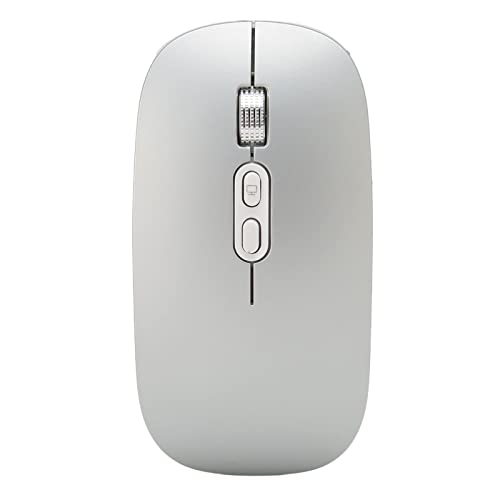 Kabellose Gaming-Maus mit RGB-Hintergrundbeleuchtung, 1600 DPI Typ-C-Aufladung, Tragbare Optische Maus, 2 Modi Bluetooth 5.1 2,4 G Kabellose Mäuse für IOS-Telefon, Laptop, Tablet (Silber grau) von Yunseity