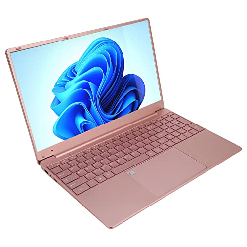 Yunseity 15,6 in Win10 Laptop Computer, mit 1920x1080 IPS Display, 12GB 1TB, N5095CPU Quad Core Prozessor Notebook PC, mit Fingerabdruck-Sperre von Yunseity