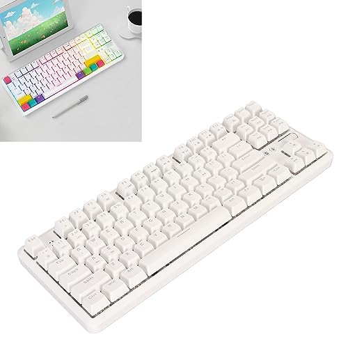 Yunseity Mechanische Gaming-Tastatur, RGB-Bluetooth-USB-Kabeltastatur, 10 Tastenkappen Lautstärkerad, 87-Tasten-Tastatur mit White-Tee-Schalter, Bis zu 3 Geräte von Yunseity