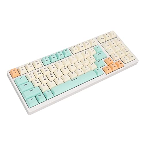 Yunseity Mechanische Hot-Swap-Tastatur, Gaming-Tastatur mit 68 Tasten, RGB-Hintergrundbeleuchtung, Triple Mode 2,4 GHz/BT5.1/USB-C-Verbindung, für Windows, OS X (Weiß) von Yunseity