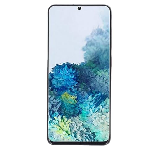 Yunseity Telefon -Touchscreen -Digitalisierer Set, 6,2 in 4G Telefon für Telefonnummer für (Gray) von Yunseity