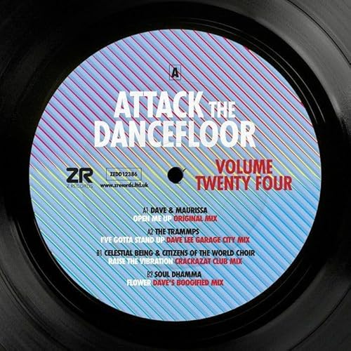 Attack The Dancefloor Vol. 24 (Various Artists) [Vinyl LP] von Z Records