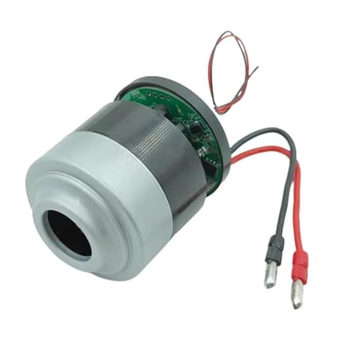 DC12V 18V 21V 125W/135W Elektrischer bürstenloser Motor mit hoher Saugleistung, 1 Stück(OTHER_C DC 10-15.9V 100W) von ZBFGEPLV