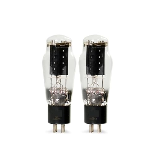 WE2A3 Rohr 2A3 Upgrade 2A3C 2A3B HiFi Audio Rohr verstärker kit DIY passenden(2 pcs) von ZCERA