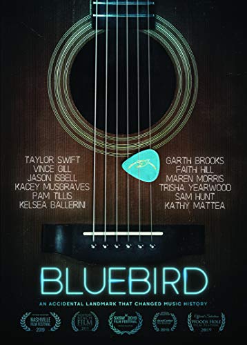 Bluebird: An Accidental Landmark That Changed History (Blu-Ray) [2020] von Cleopatra