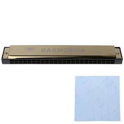 Professionelle Mundharmonika mit 24 Löchern, Metallorgel für Anfänger von ZEPFJHE