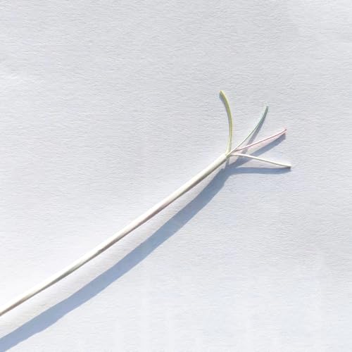 Ultrafeiner 2-adriger 4-adriger PTFE-versilberter Draht, Teflon-Hochtemperatur-Signalkabel, Außendurchmesser 1,2/1,6 mm(5 m,2core OD 1.2mm) von ZGYDNM