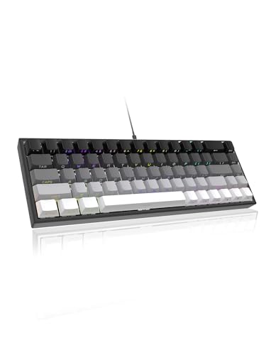 ZIPFORCE Gaming-Tastatur, mechanische Tastatur mit 68 Tasten, blaue Schalter, Typ-C-Verbindung, mehrfarbige gemischte Hintergrundbeleuchtung, PBT-Tastenkappen von ZIPFORCE