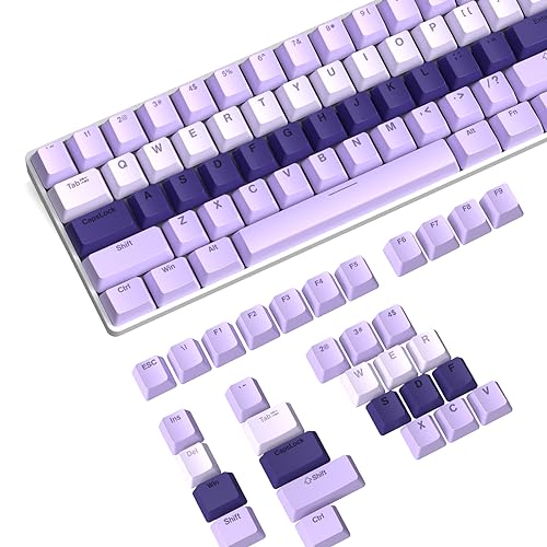 112 Tasten Custom ABS Keycap Set Double Shot OEM Profil für 61/68/87/98/100/104Key TKL 60% Full Size Cherry MX Gateron Kailh Outemu Cross Type Switch US-Layout Mechanische Tastatur (Gradient Light von ZIYOU LANG