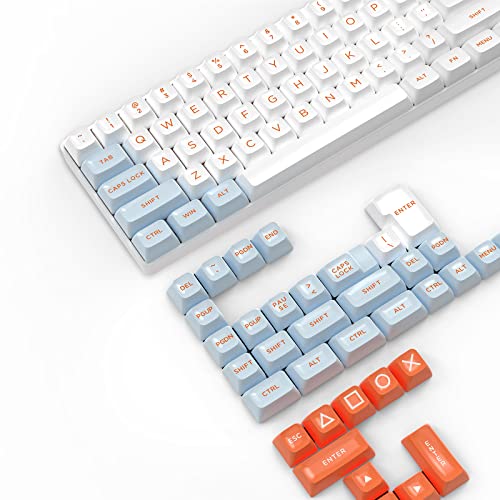 149 Key Custom PBT Tastenkappen-Set ASA Profil für 61/68/84/87/98/100/104Key Compact TKL 60% Full Size Cherry MX Gateron Kailh Outemu Cross Type Switch US Layout Mechanische Tastatur DIY Lachs Thema (Blau) von ZIYOU LANG