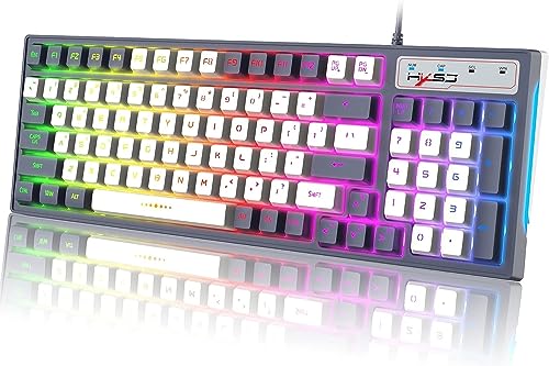 Kabelgebundene RGB-Gaming-Tastatur mit Multi-Regenbogen-8 Chroma-LED-Hintergrundbeleuchtung, Farbblock-Tastenkappen, ergonomisches 26 Tasten, Anti-Ghosting, 96-Tasten-Layout,Laserschnitzerei von ZIYOU LANG