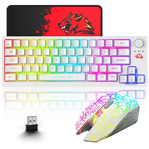 Wireless Gaming-Tastatur und Maus-Combo, 64 Tasten mit Knopf RGB LED Hintergrundbeleuchtung Klaviatur 4000mAh-Batterie wiederaufladbare 2400 DPI Rainbow Mute Maus+Mauspad Für PC Gamer - Weiß von ZIYOU LANG