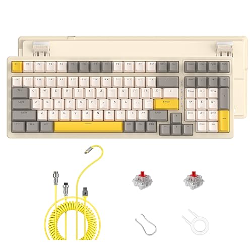 ZIYOU LANG K3MAX Kabelgebundene Hot-Swap-fähige Mechanische Gaming-Tastatur mit Spiral-USB-C-Kabel, 100 Tasten, Kompaktes Layout, 19 RGB-Tastatur mit Backlit, Roter Schalter für Win/Mac-Käse von ZIYOU LANG