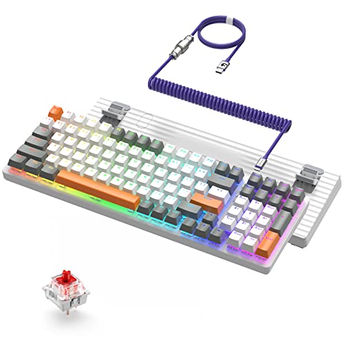 ZIYOU LANG Mechanische Gaming-Tastatur K3 PRO kabelgebundene Tastatur 10 Chroma RGB Blacklit 100 Tasten Full Key Anti-Glitch-Tastatur-ABS mit linearem rotem Schalter, gewickeltes C-zu-A-Tastaturkabel von ZIYOU LANG