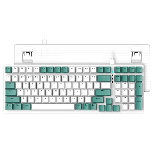 Ziyou LANG K3 Mechanische Tastatur, Abnehmbarer USB C kabelgebundener Mechanical Blue Switch, Beleuchtet, LED-beleuchtet, Gaming-Tastatur, Kompakte 100 Tasten mit Number Pad, PC-Gaming-Tastatur von ZIYOU LANG